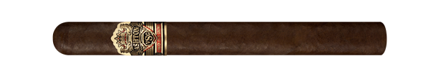 Sorcerer Ashton VSG